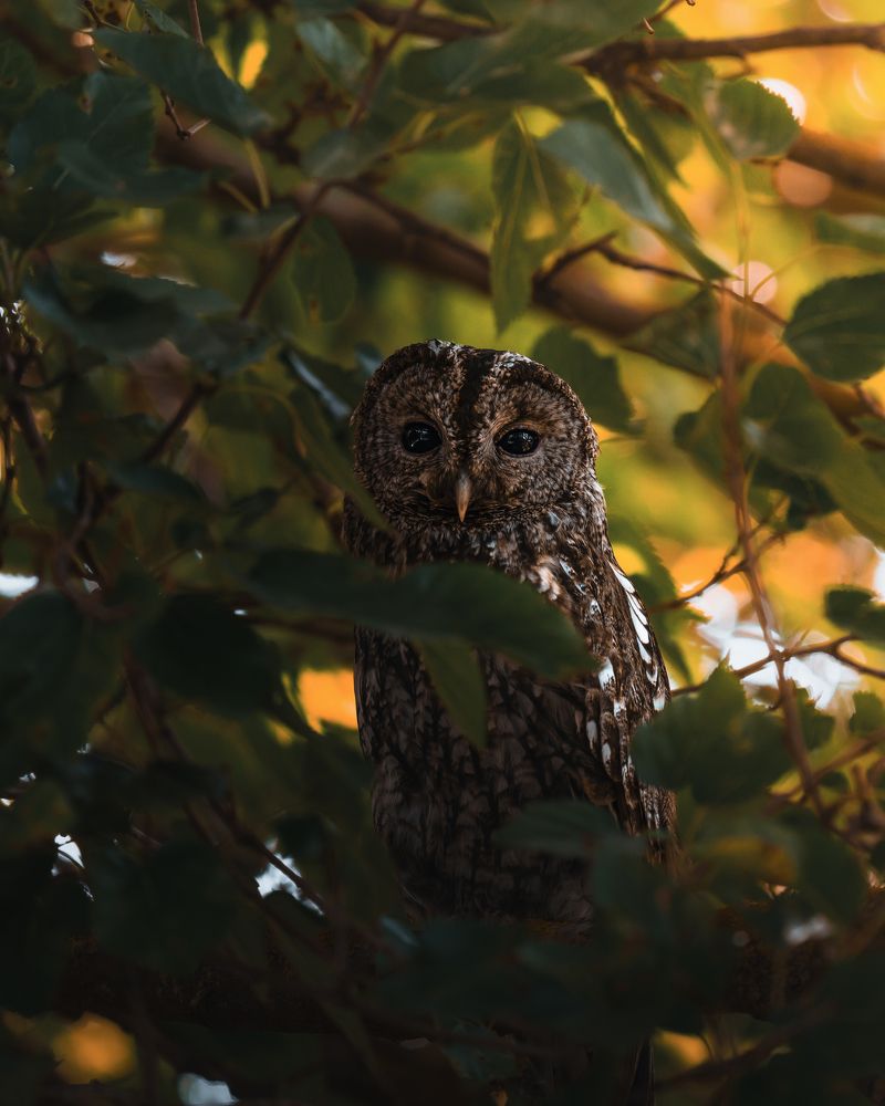 Photograph by Chris Stavrakas