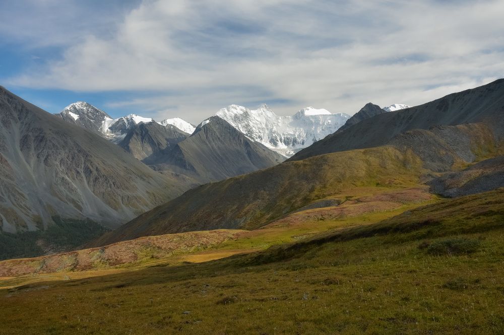 Золотые горы Алтая