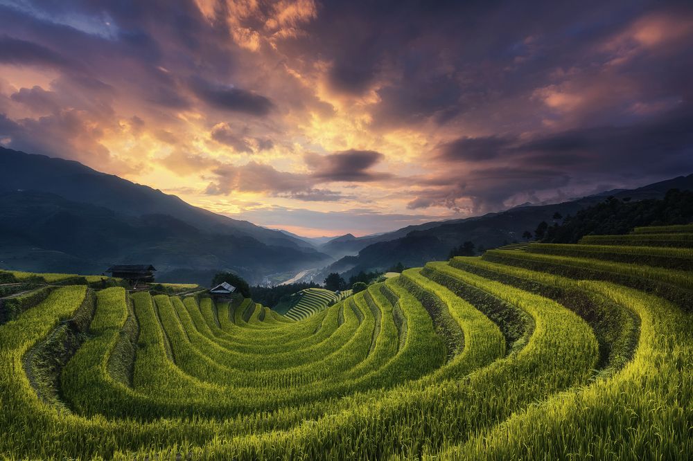 Photograph by Tuấn Nguyễn Tấn