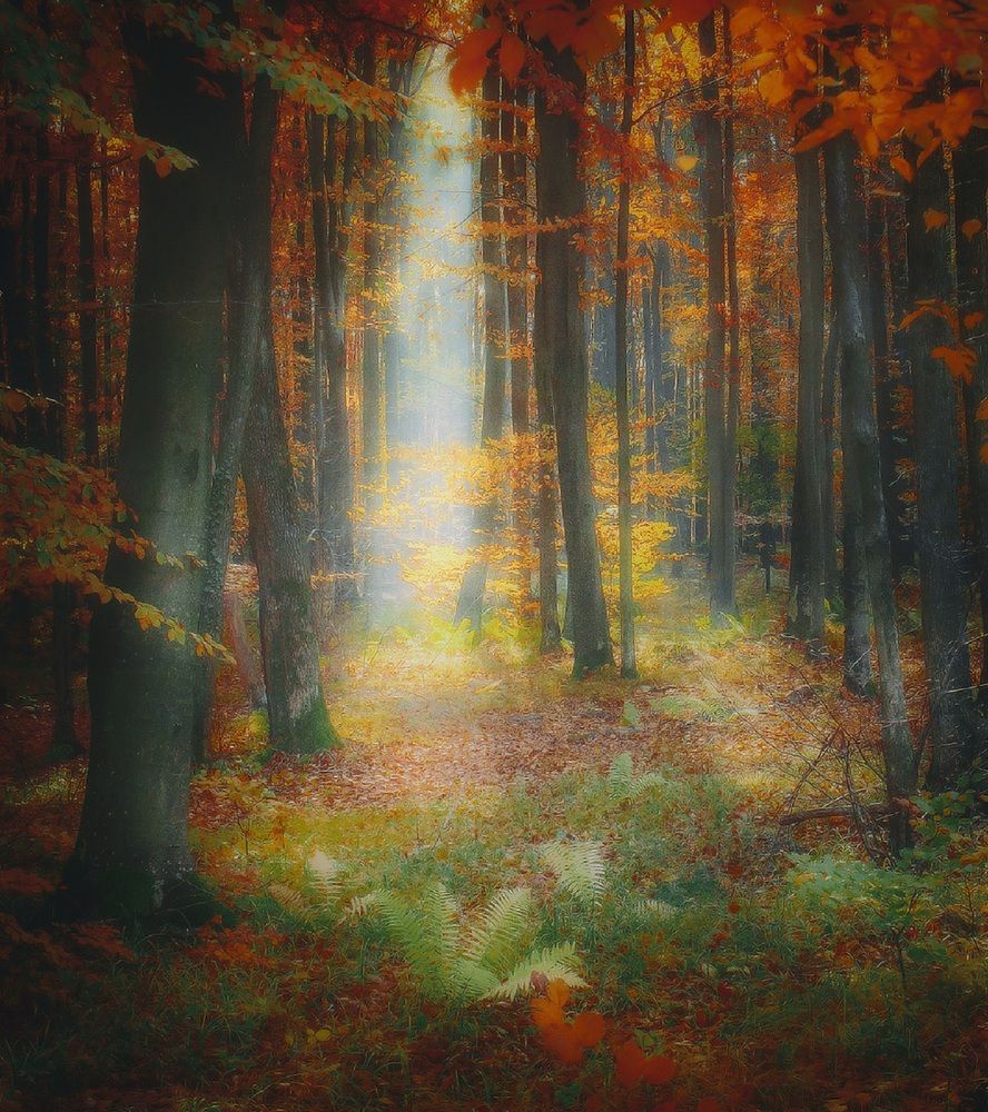 Photograph by Владимир