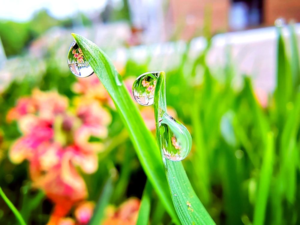 Photograph by Яна Никулина