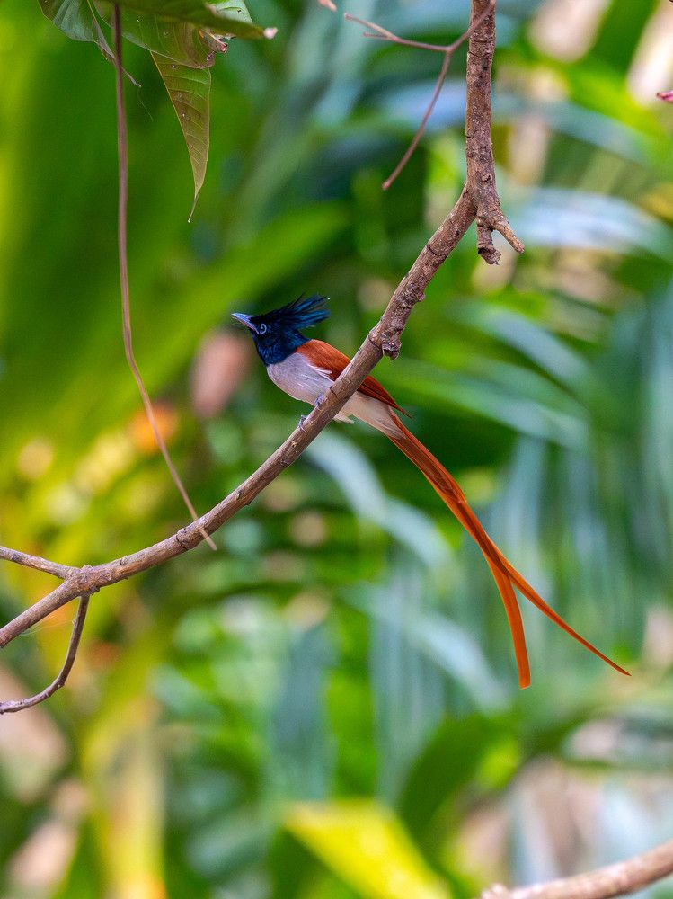 Photograph by Sahil K