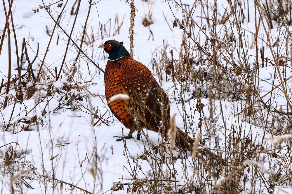 Photograph by Сергей Конюшенко