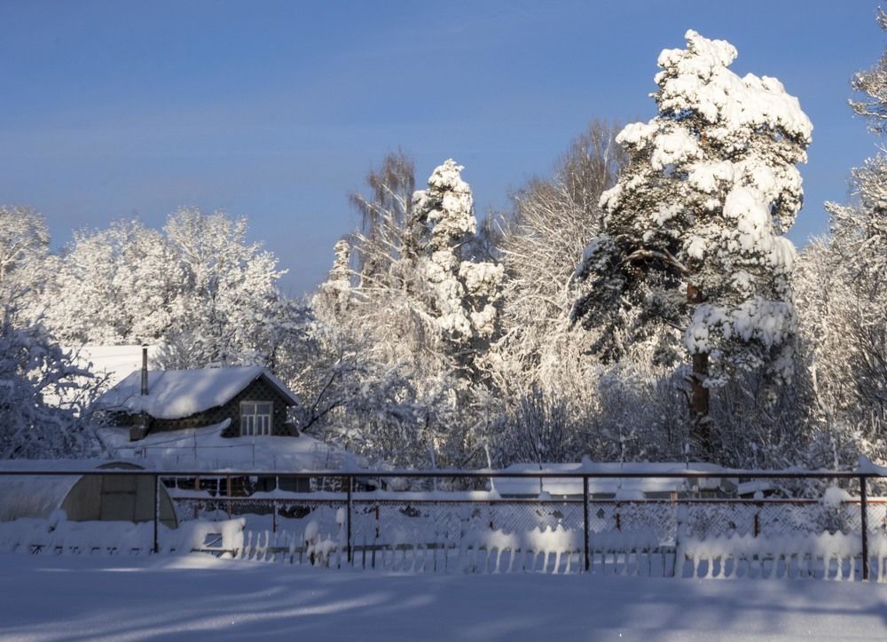 Photograph by Ольга Александрова
