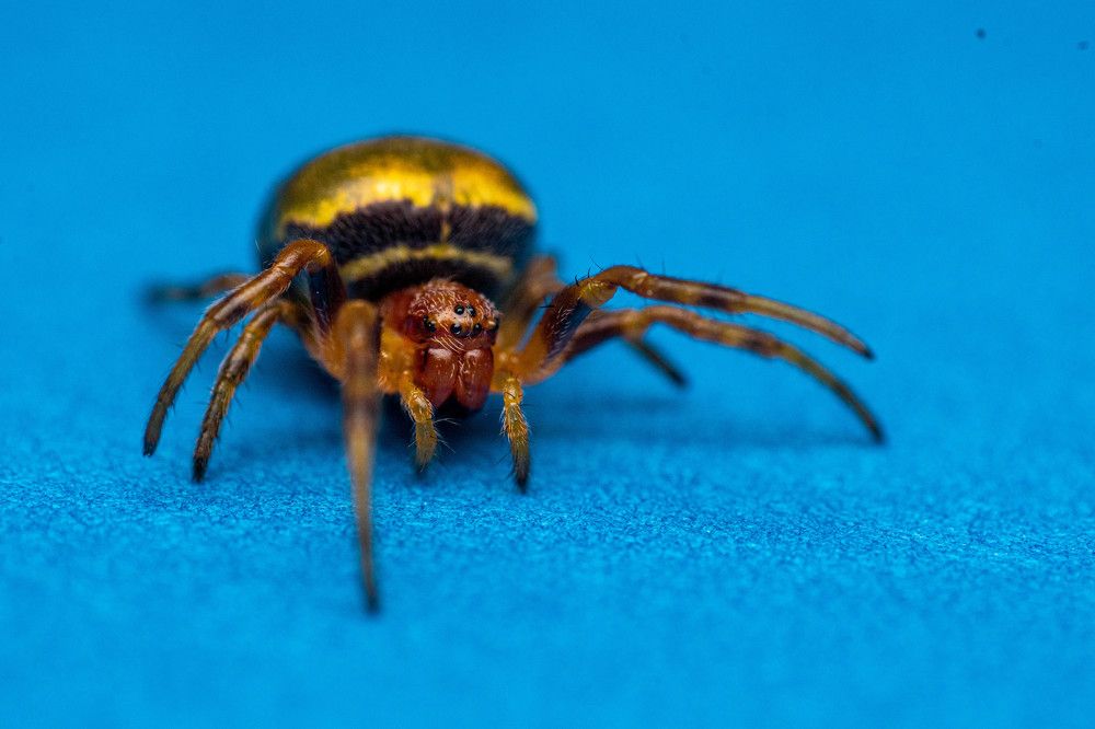 Photograph by Andrés aite