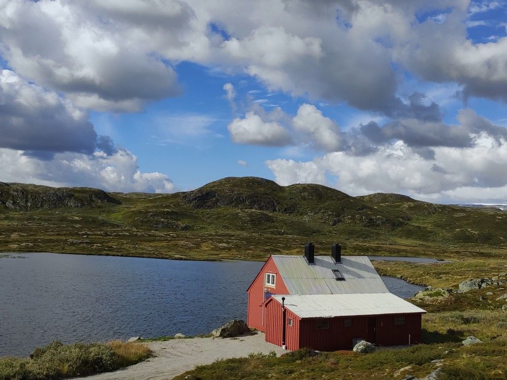 Photograph by Diana Kozlova