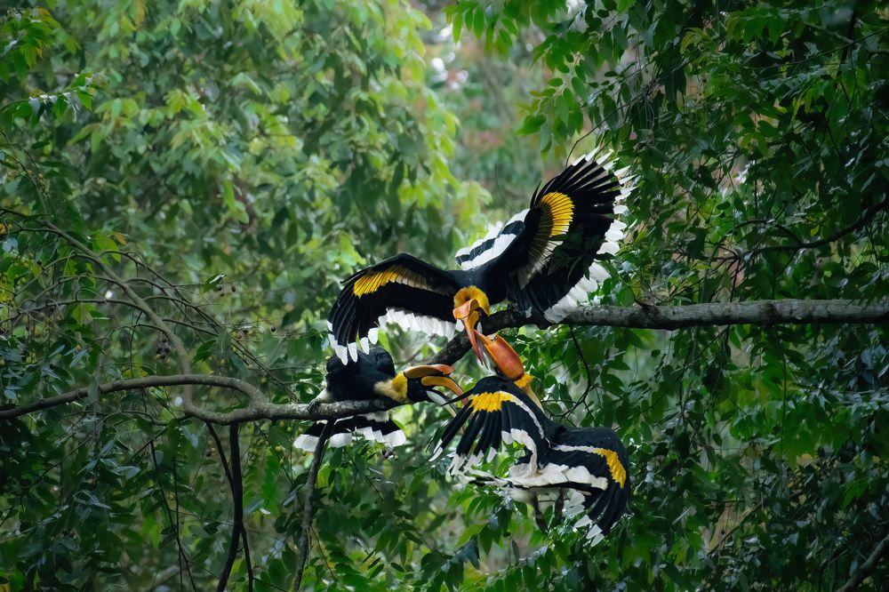 Фотография автора Anandhu M