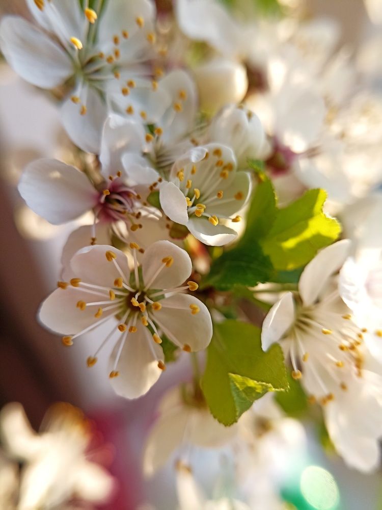 Photograph by Ольга Стариченко