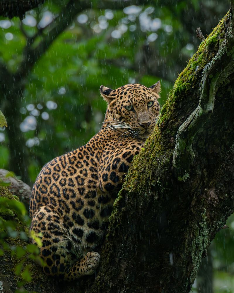 Фотография автора Anandhu M