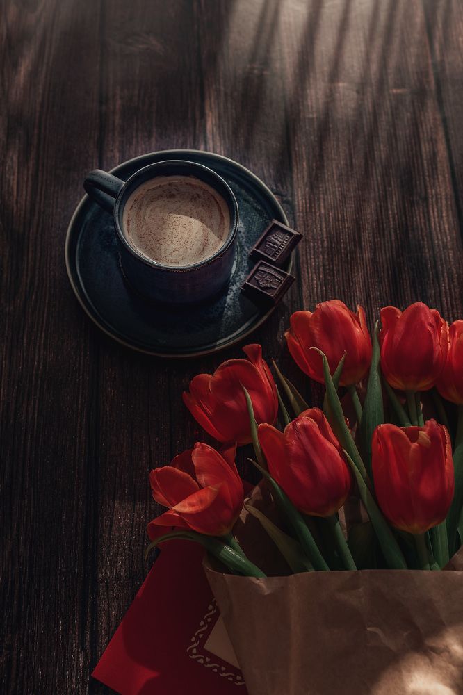 Фотография автора Альбина Кадочникова