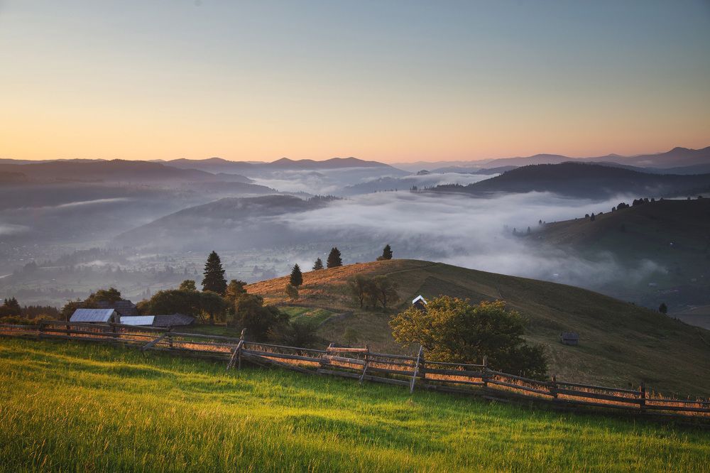 Photograph by Alex Coman