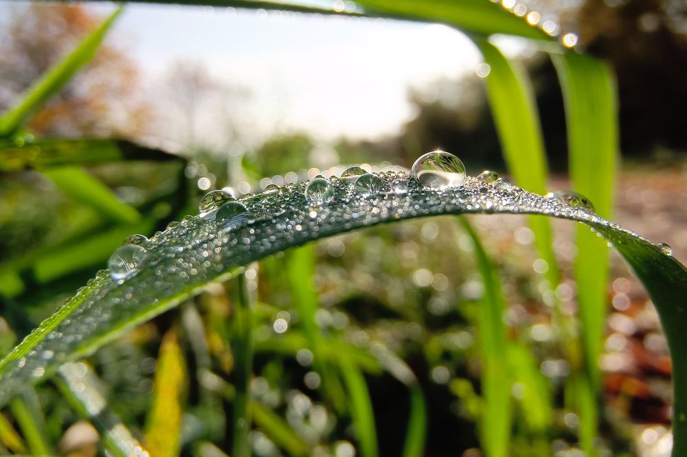 Photograph by Светлана Кондрашова