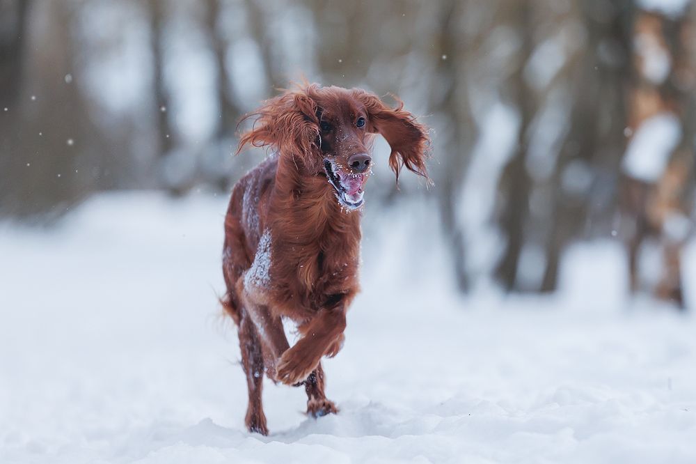 Photograph by Шитиков Владимир