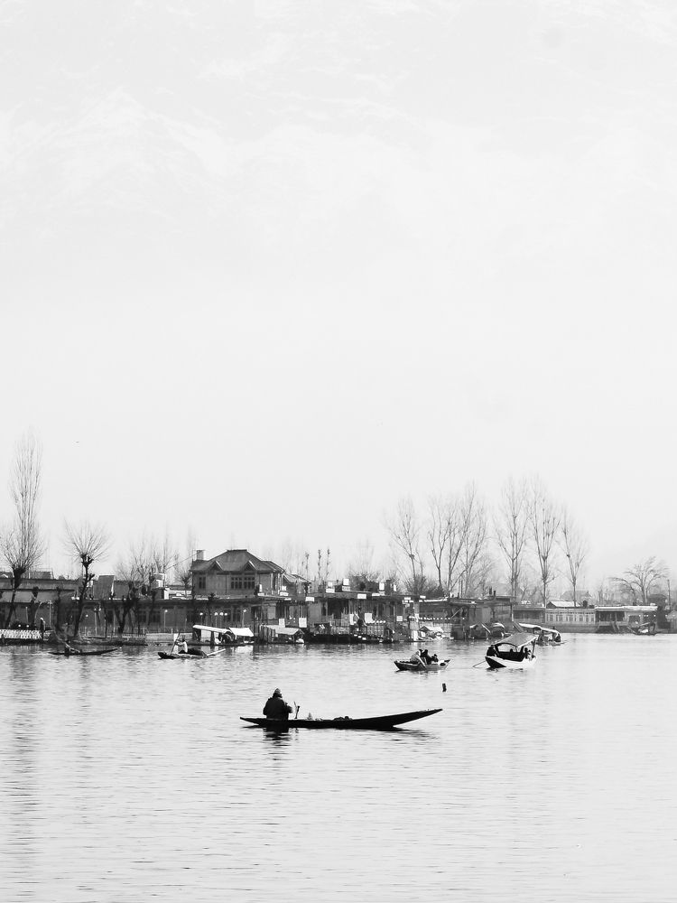 Nature's artwork in Kashmir.