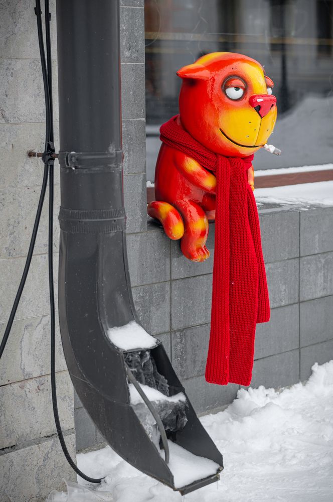 Photograph by Максим Жухлистов