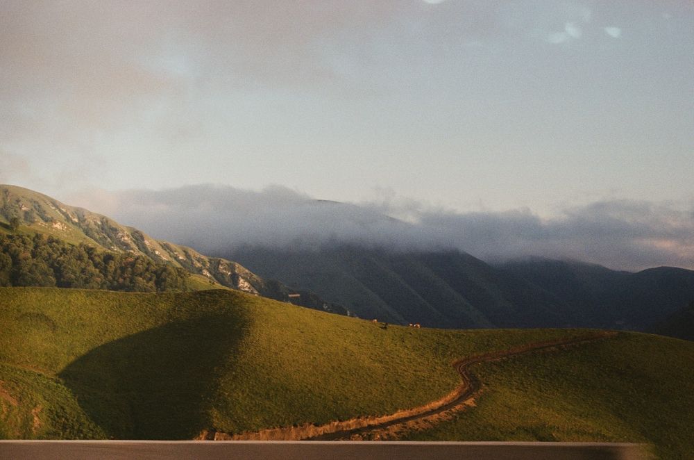 Photograph by Anna Rom