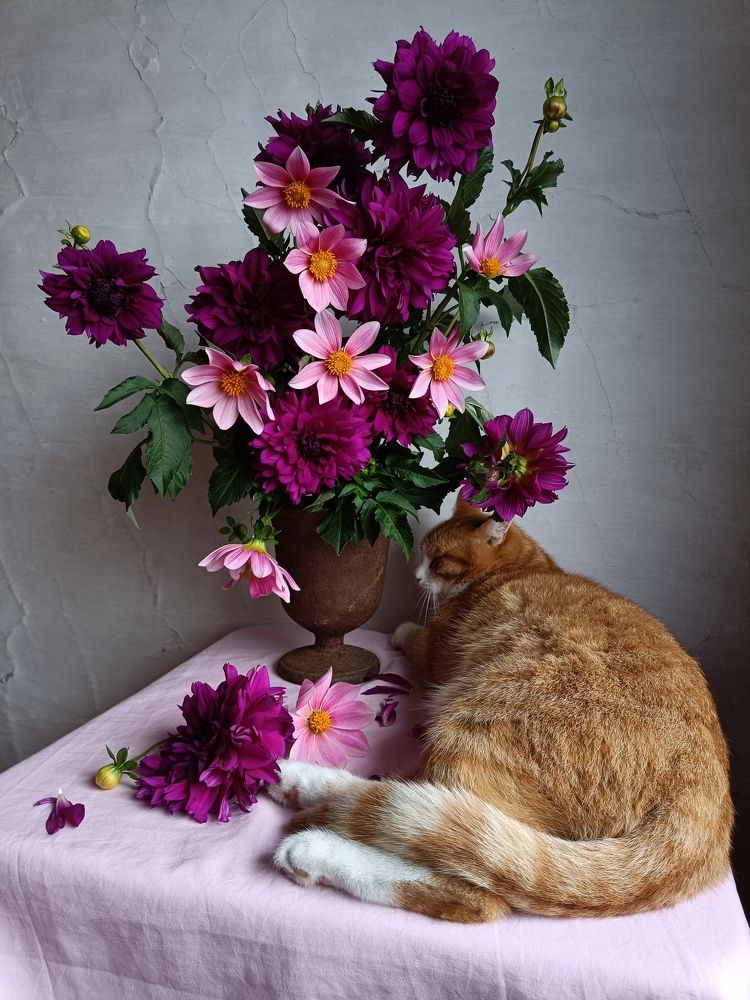 Photograph by Юлия