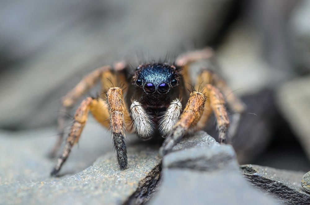 Фотография автора Сергей Чебанов