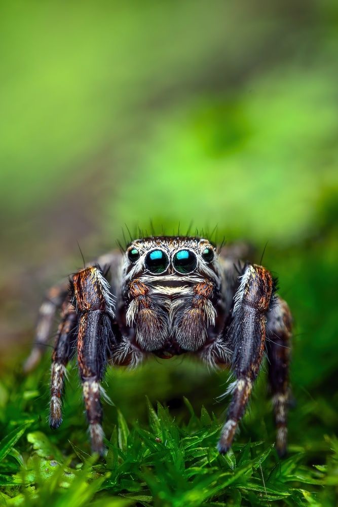 Фотография автора Сергей Чебанов