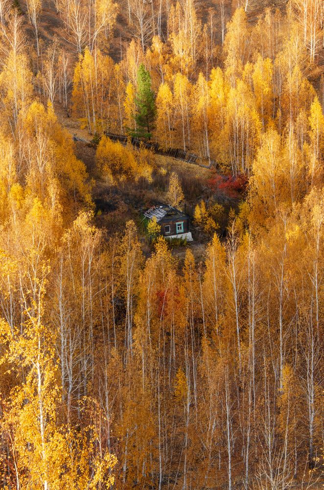 Photograph by Сидоров-Козин Павел