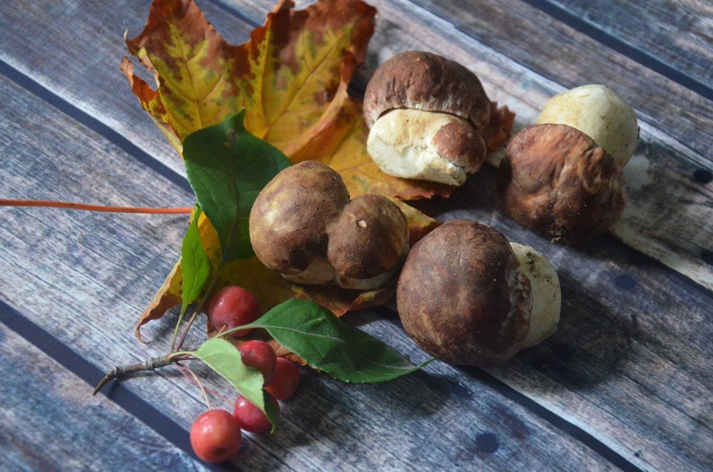 Photograph by Valentina