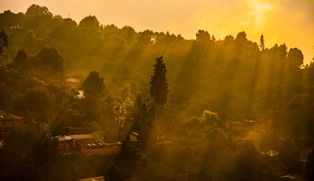 Photograph by Mario Pedraza