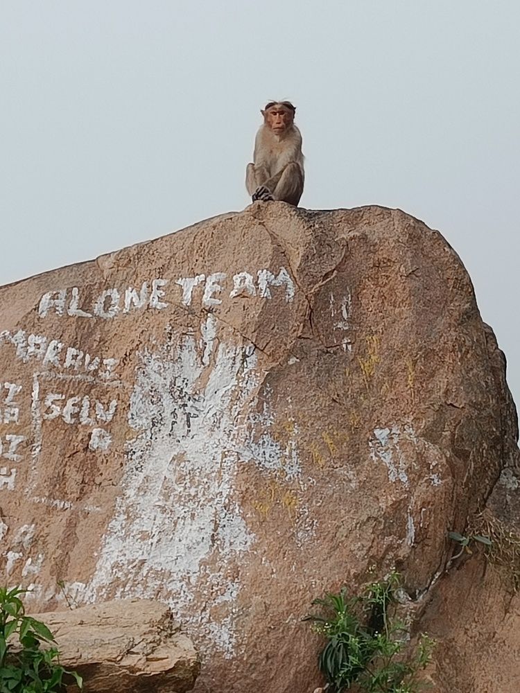 Photograph by Senthil Kumar