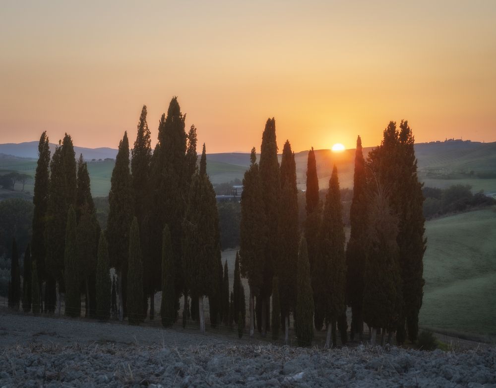 Photograph by Antonella Ventura