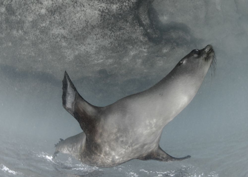 Photograph by ANTONIO RUVER BANDEIRA