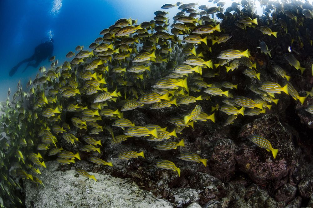 Photograph by ANTONIO RUVER BANDEIRA