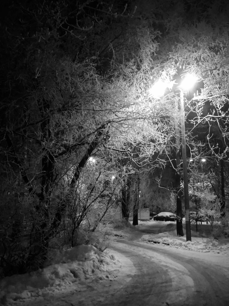 Зимний вечер в Петербурге.