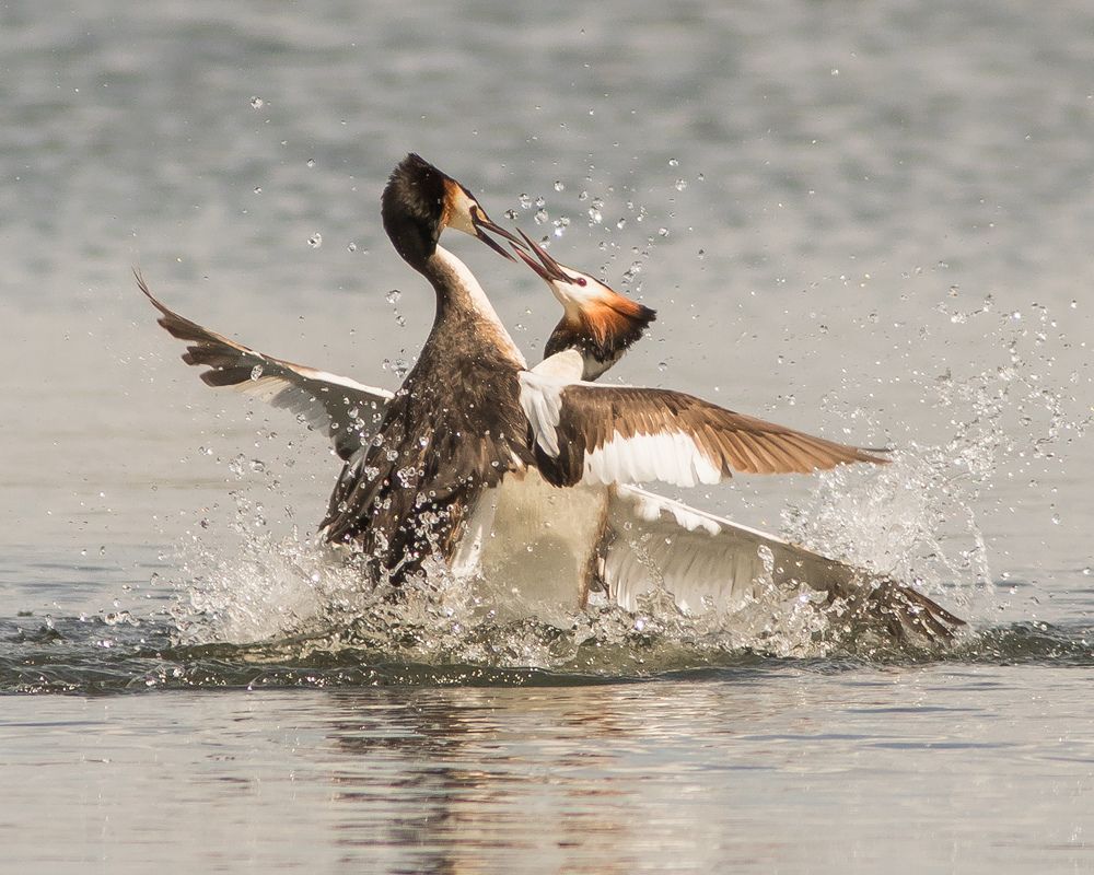Фотография автора Суслов Дмитрий
