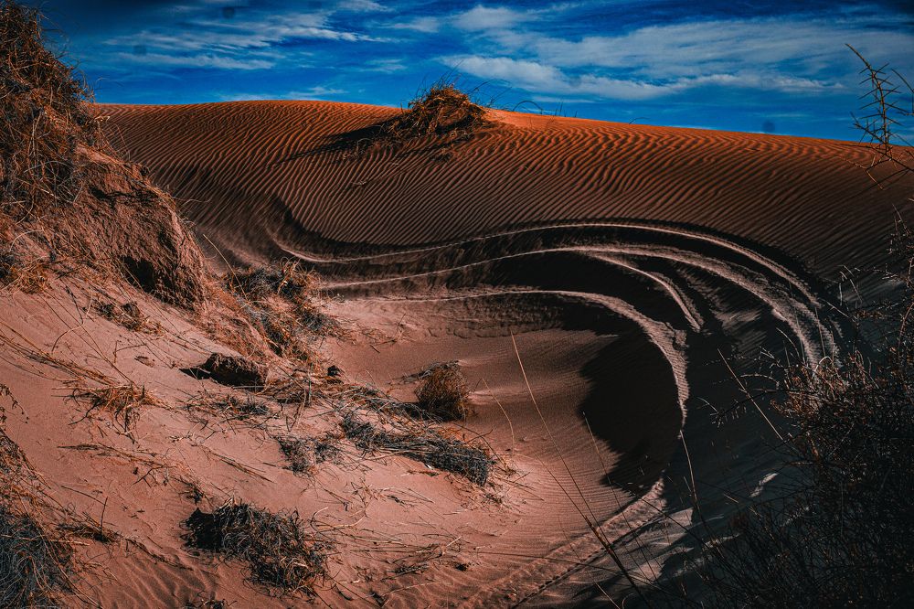 Photograph by Gonzalo Negro