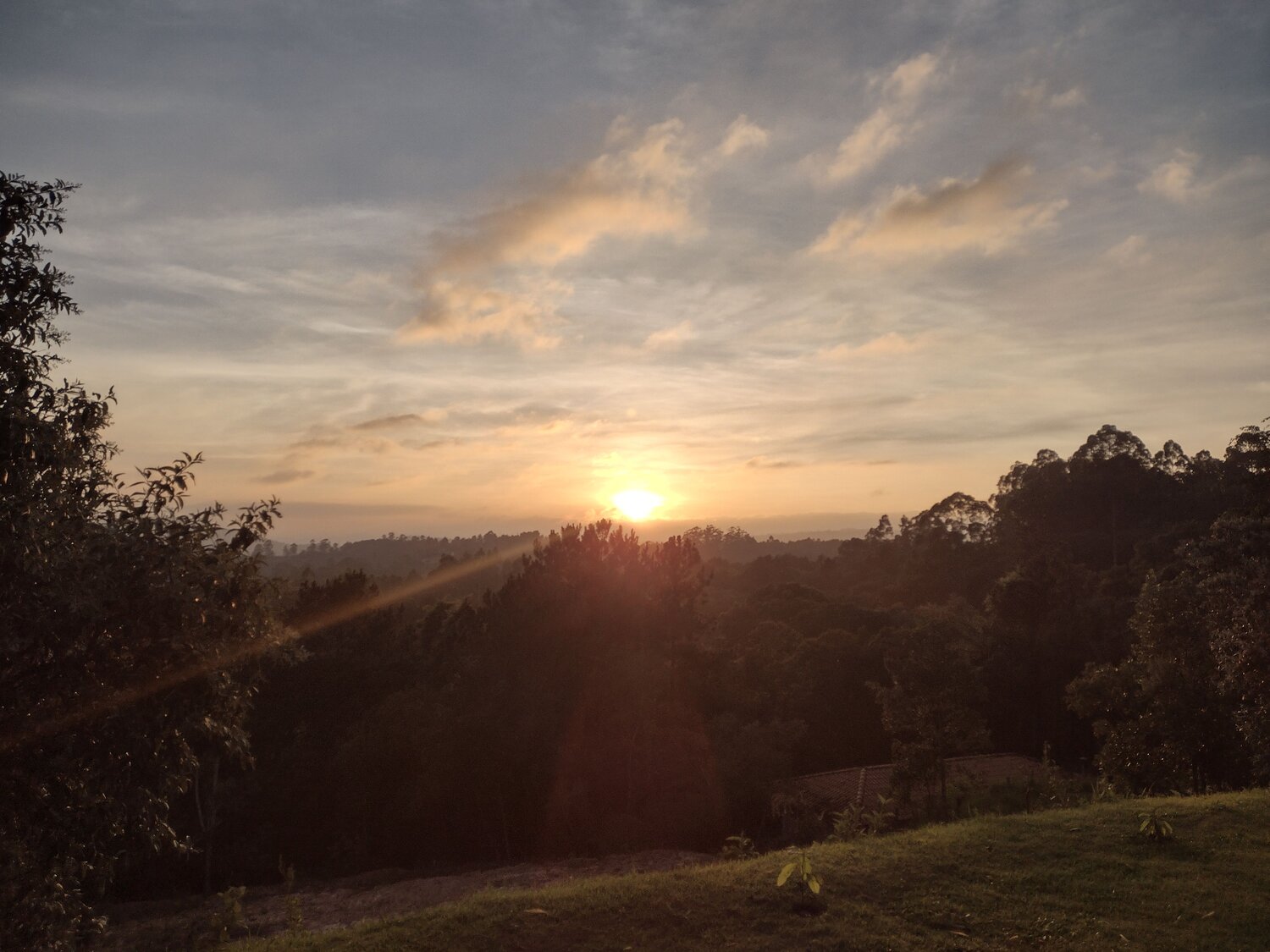 Photo #10257273