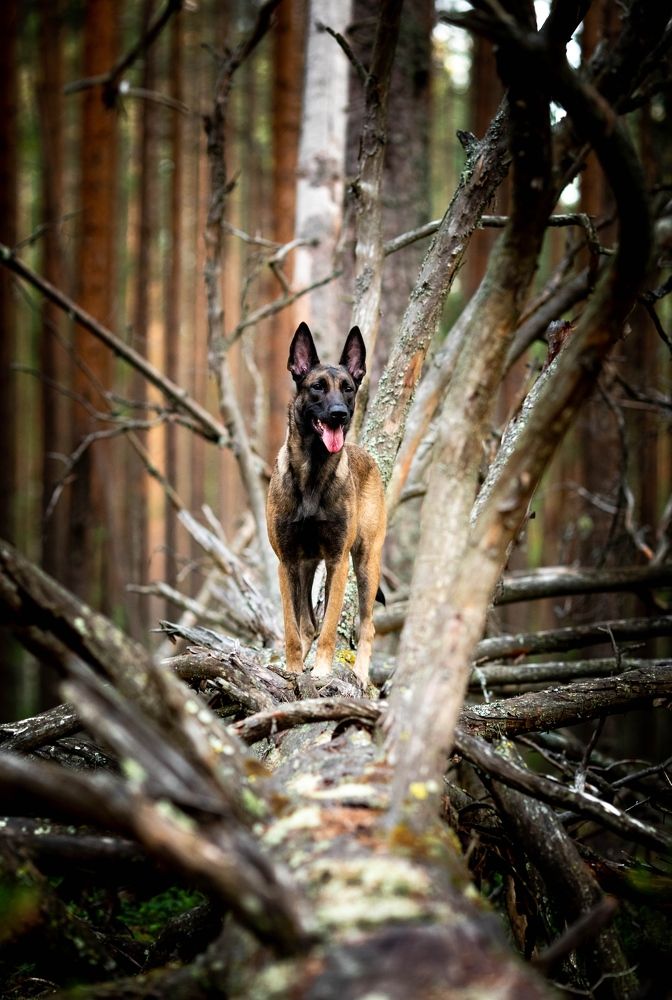 Photograph by Дарья