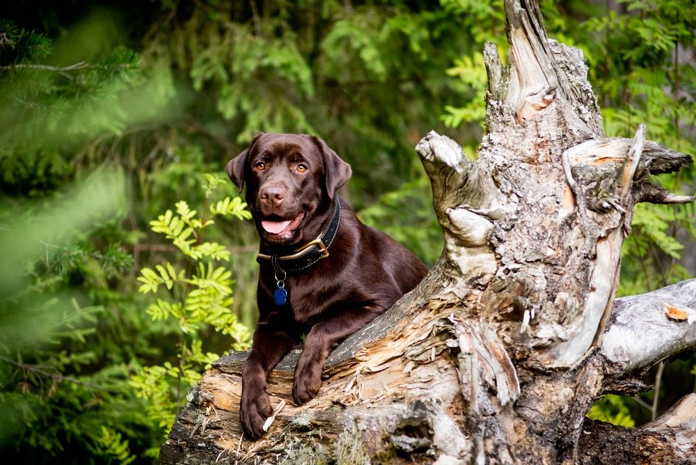 Photograph by Дарья