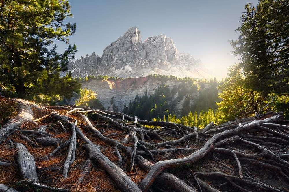 Фотография автора Peter Dužek