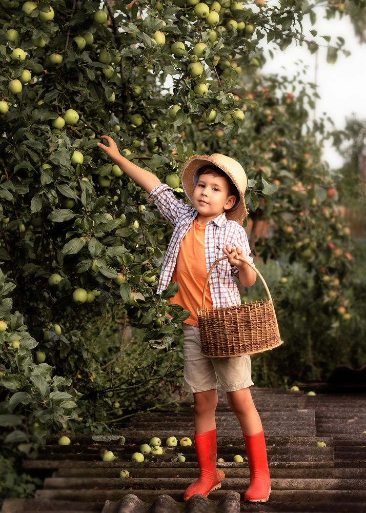 Photograph by Ольга Подаваленко