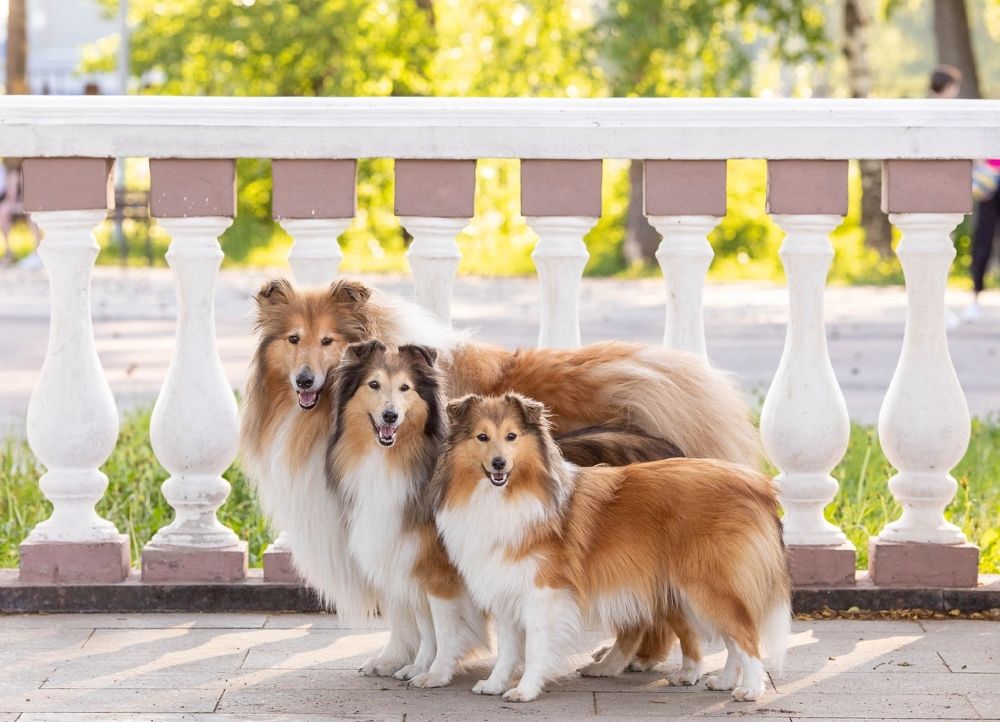 Photograph by Дарья