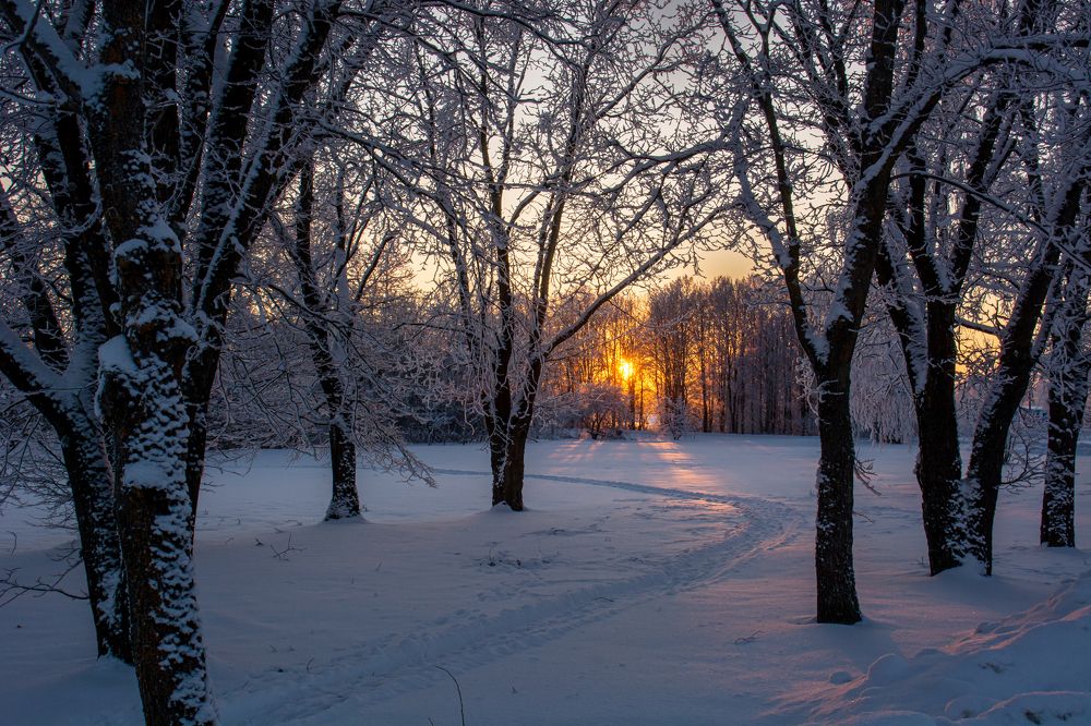 Photograph by Nikolai Barchan