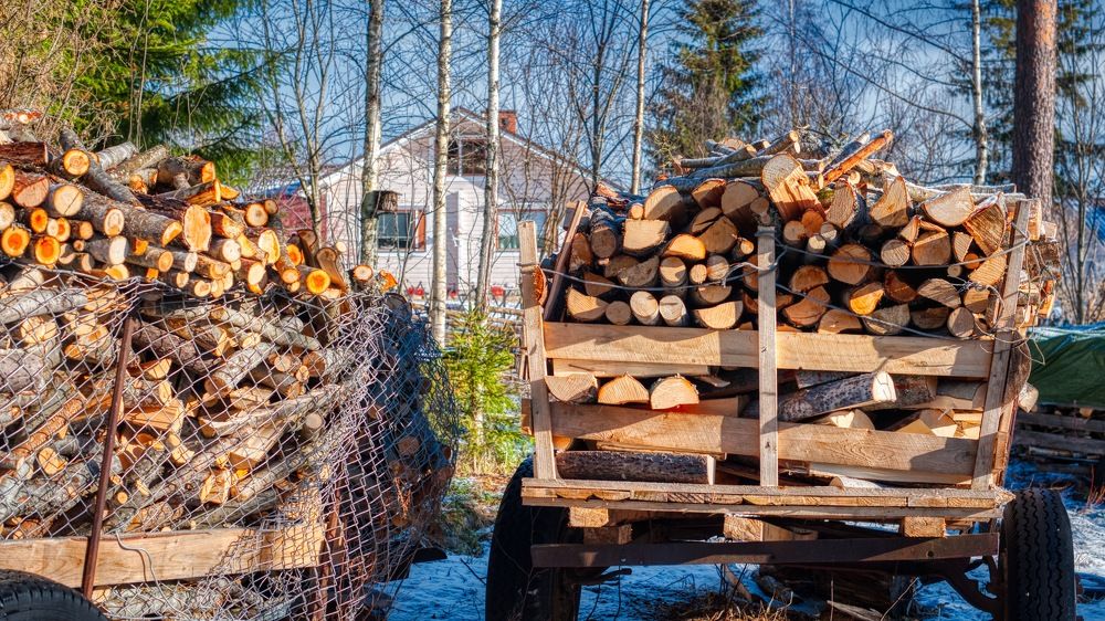 Photograph by Сергей Малеев