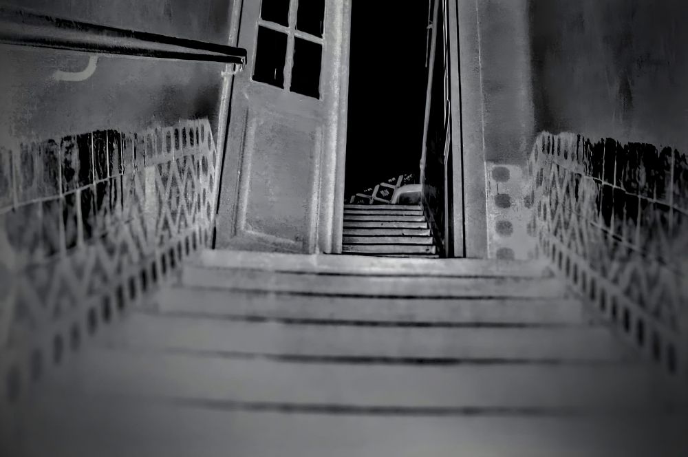 Photograph by Daniel Núñez