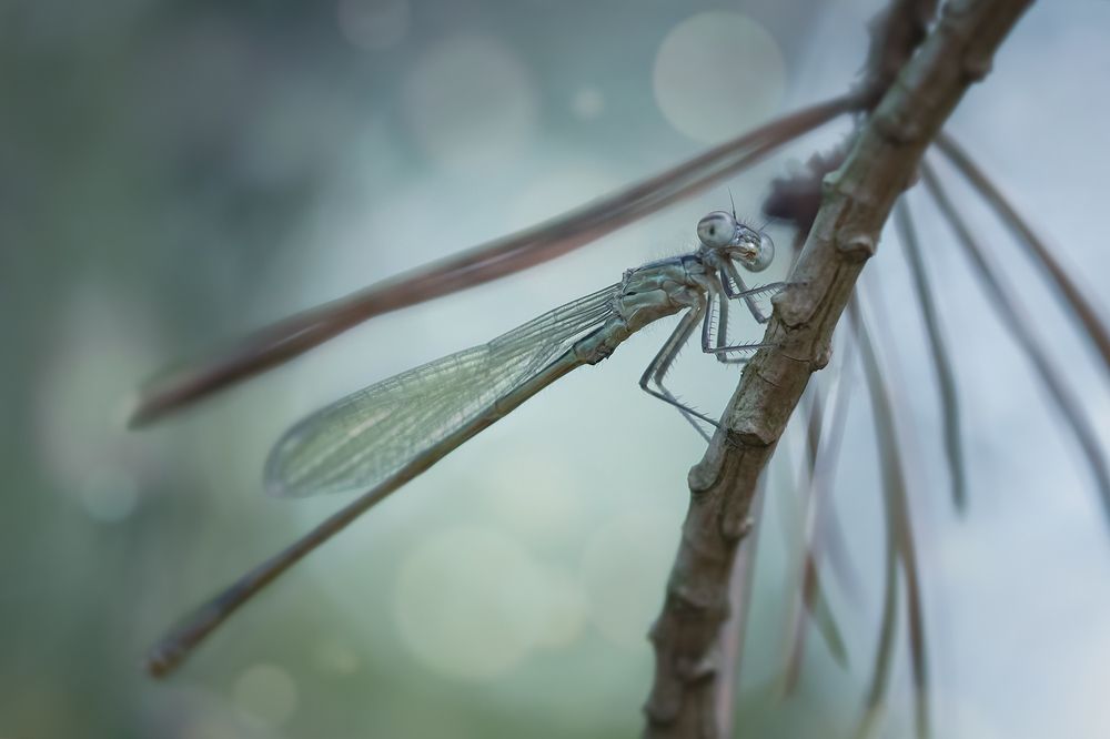 Photograph by Хилько Марина