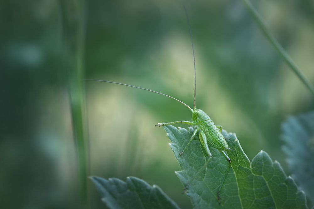 Photograph by Хилько Марина