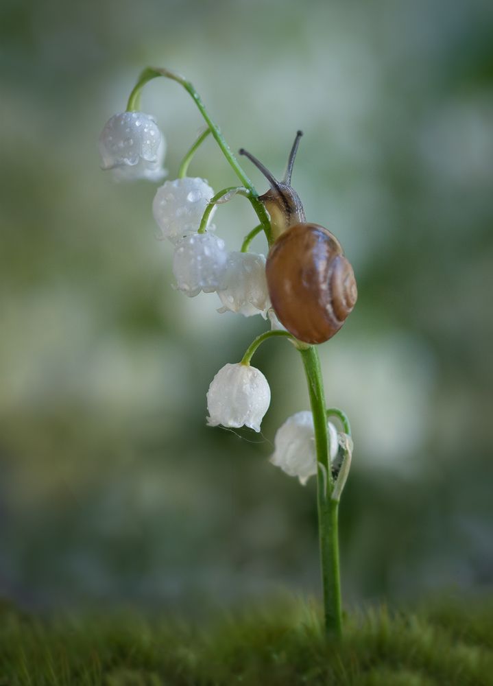 Photograph by Хилько Марина