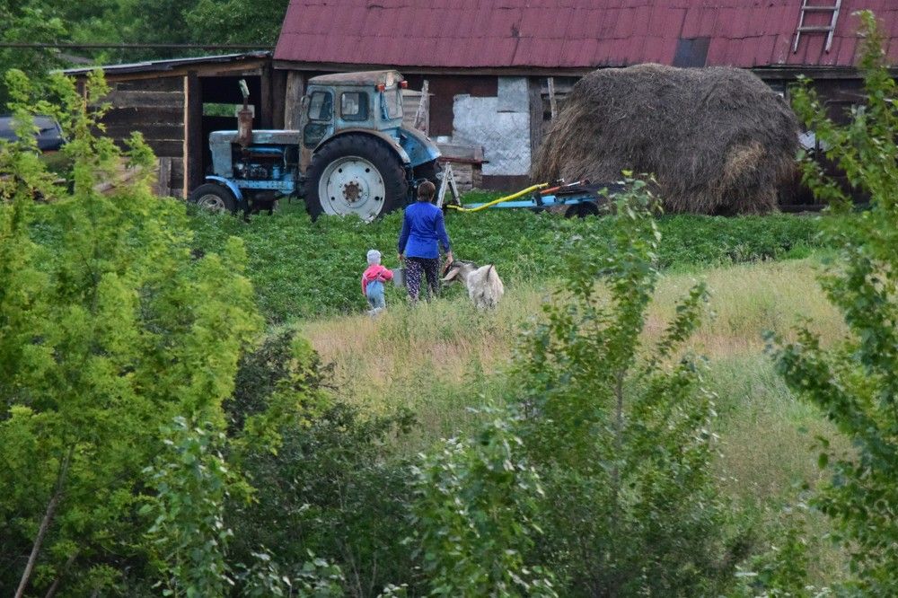 Photograph by Лариса Стрекулева