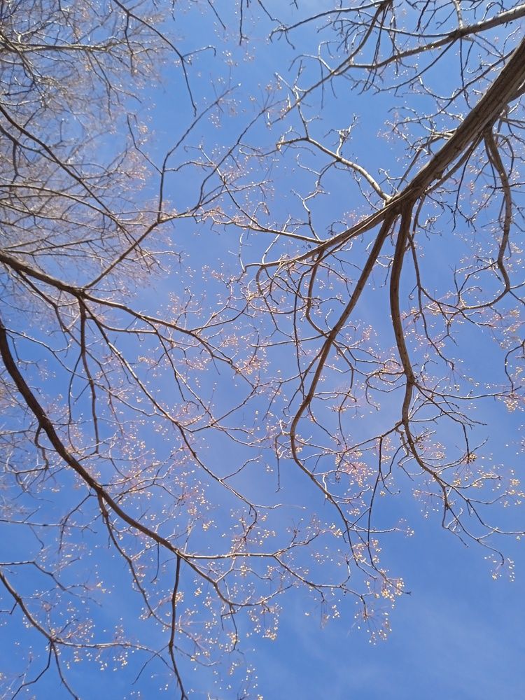 Photograph by Carlos Enrique Gozalo Ara