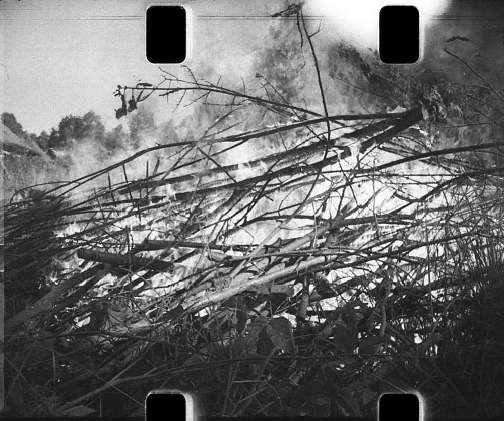 Photograph by Геннадий Балабонов