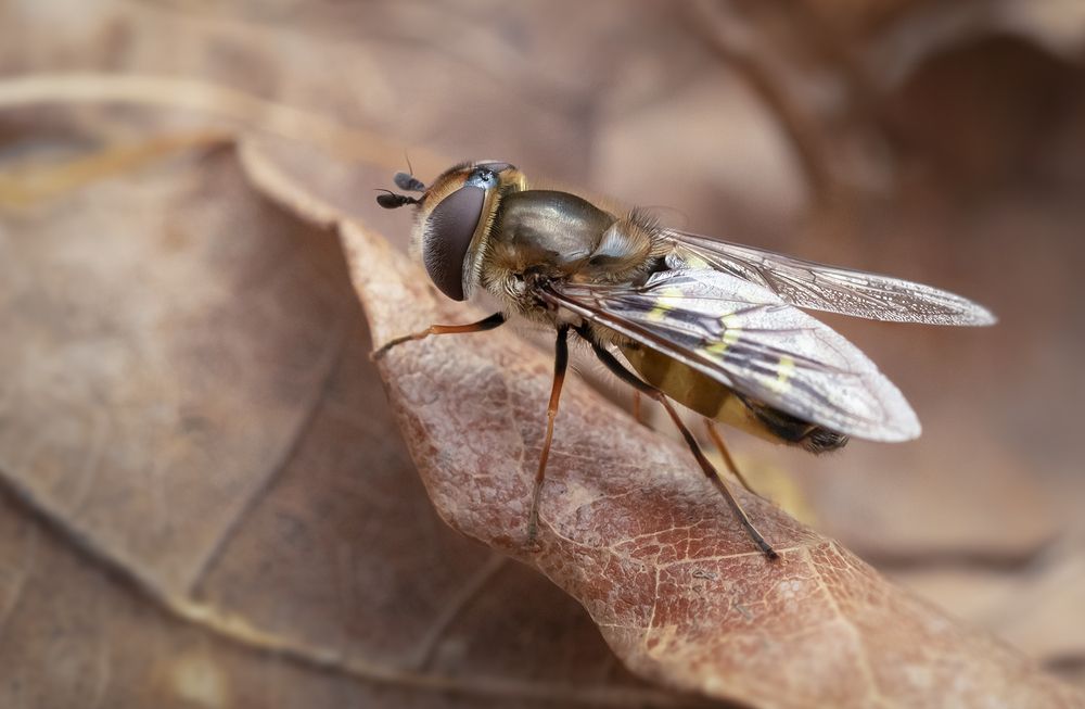 Photograph by Хилько Марина