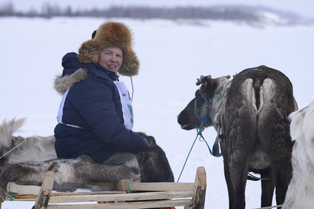Photograph by Дмитрий Захаров